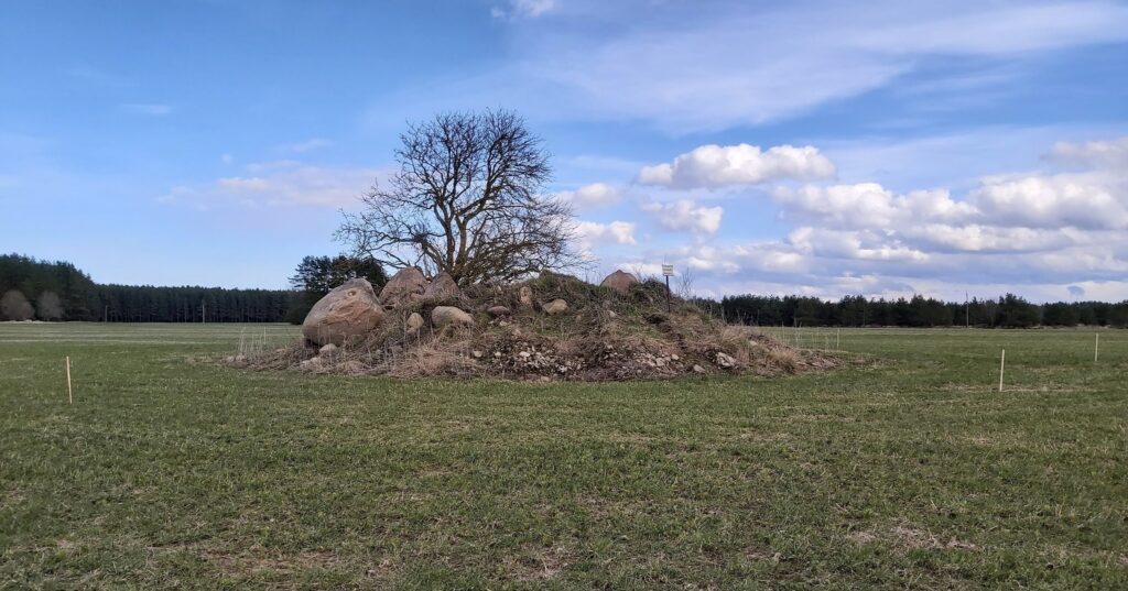 2020. aastal "maaparanduse" käigus suures osas hävitatud kivikalme Rootsi kuninga haud Lääne-Virumaal Rakvere vallas Varudi-Vanakülas. Reg-nr 10522. Foto Ulla Kadakas, 28.04.2021.