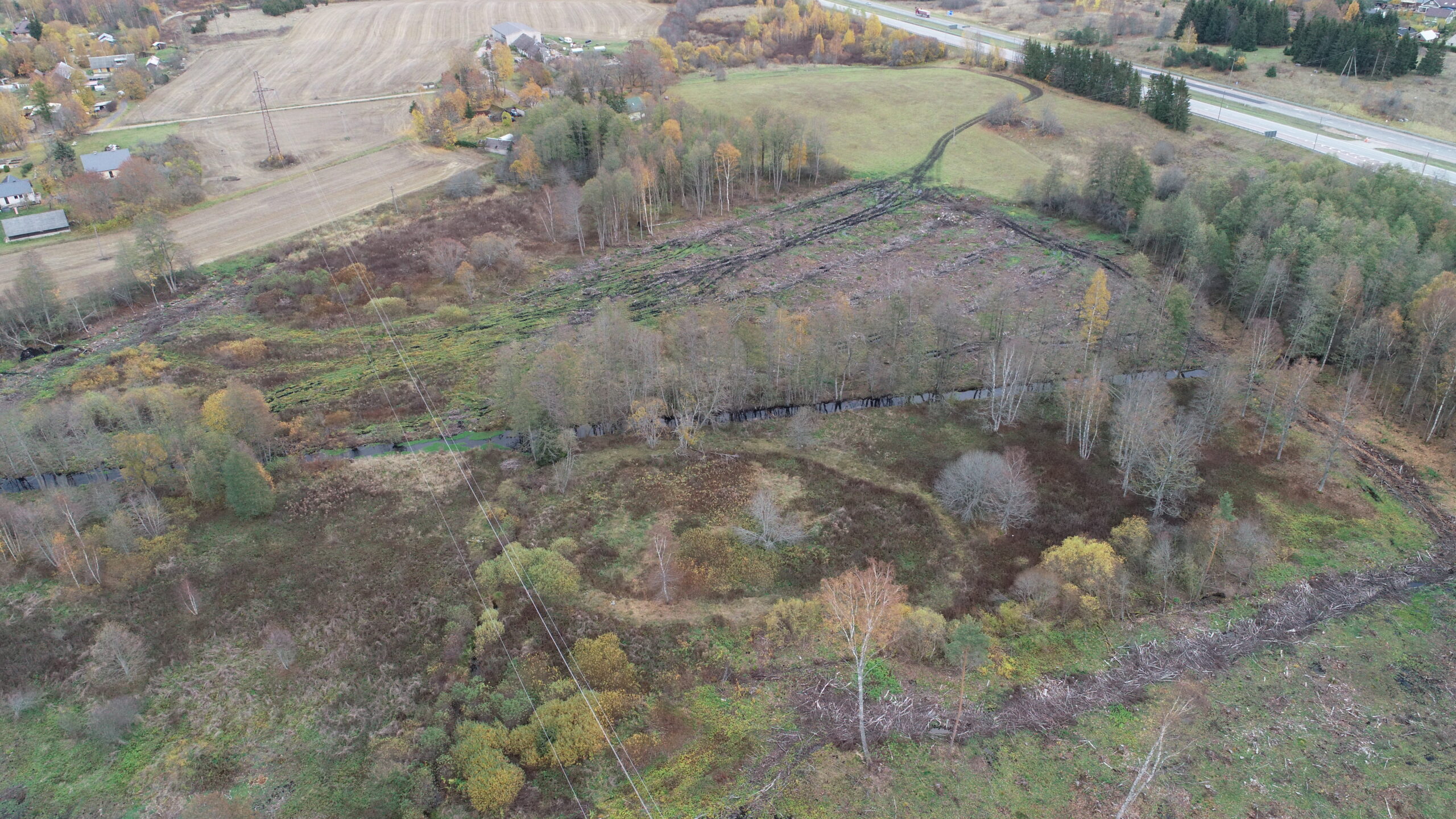 Vaade loodest Kuusalu Pajulinnale 19. oktoobril 2022. aastal. Foto Maili Roio (Muinsuskaitseamet)