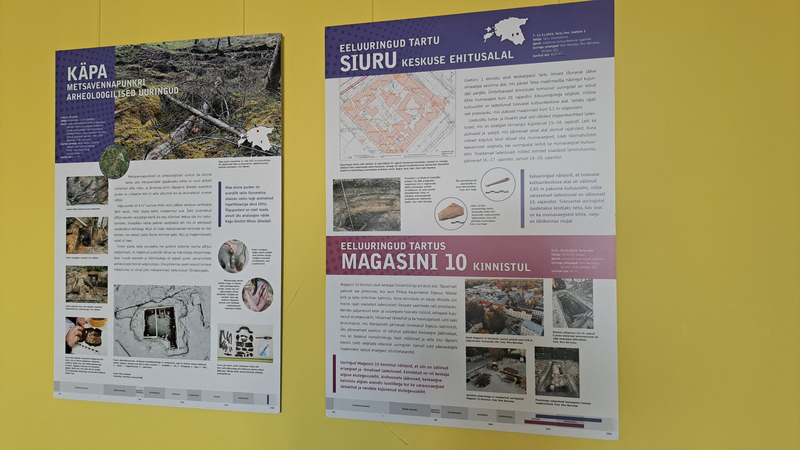 AVE2024 näitus Jääaja Keskuses