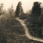 foto Jäneda linnamägi 1990-ndad, PM F 2896:1, Järvamaa Muuseum, http://www.muis.ee/museaalview/1770665