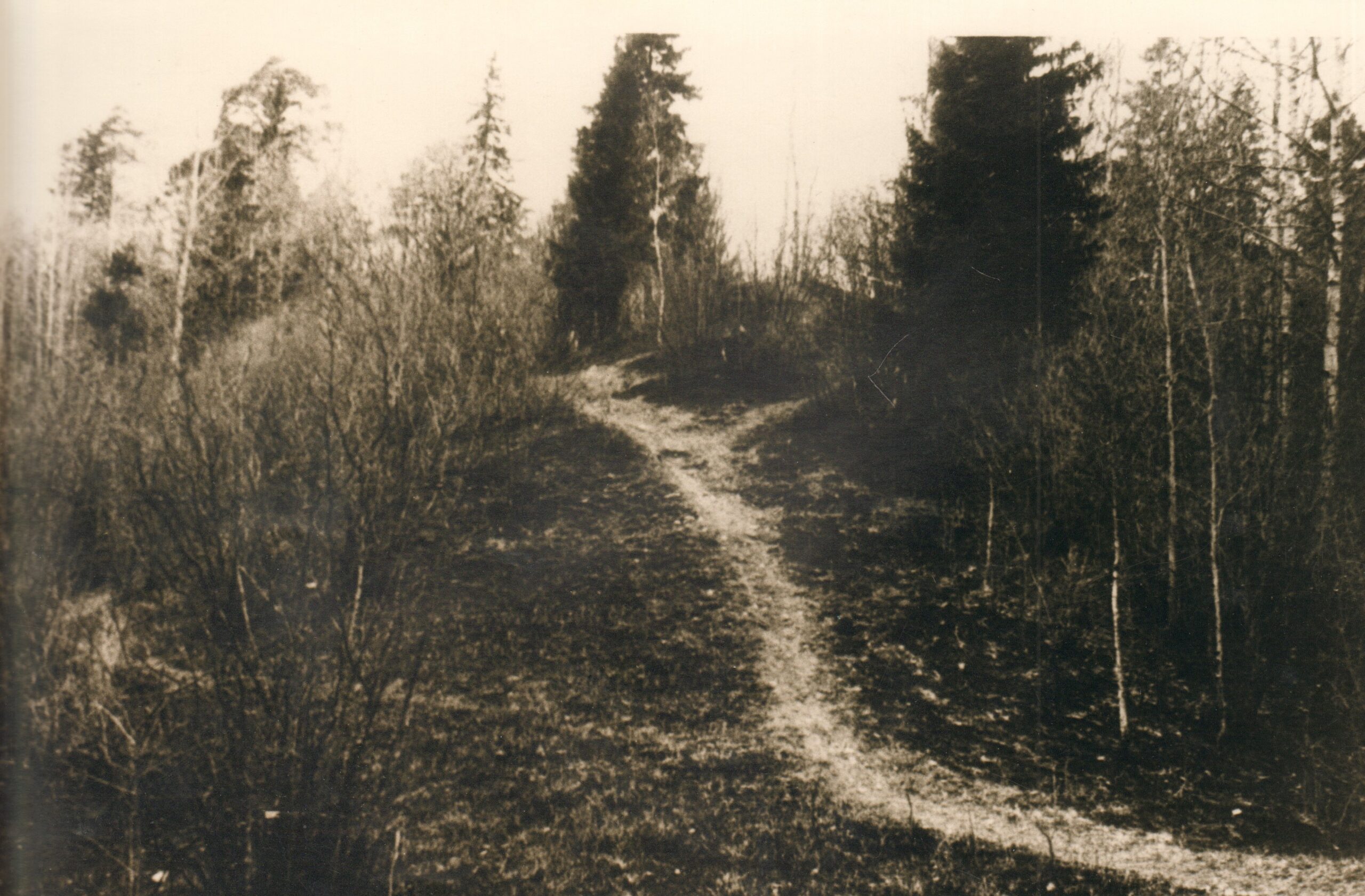 foto Jäneda linnamägi 1990-ndad, PM F 2896:1, Järvamaa Muuseum, http://www.muis.ee/museaalview/1770665